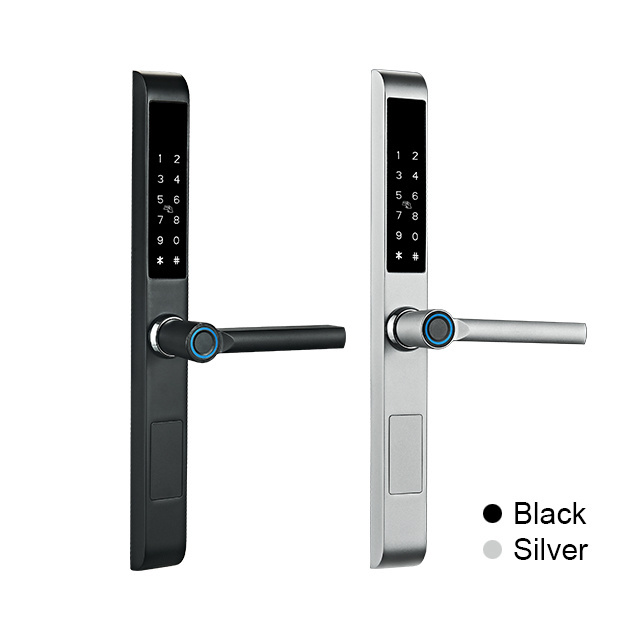 Hot Selling Waterproof Digital Biometric Handle Fingerprint Glass Door TTlock  APP Aluminum Sliding Smart door lock