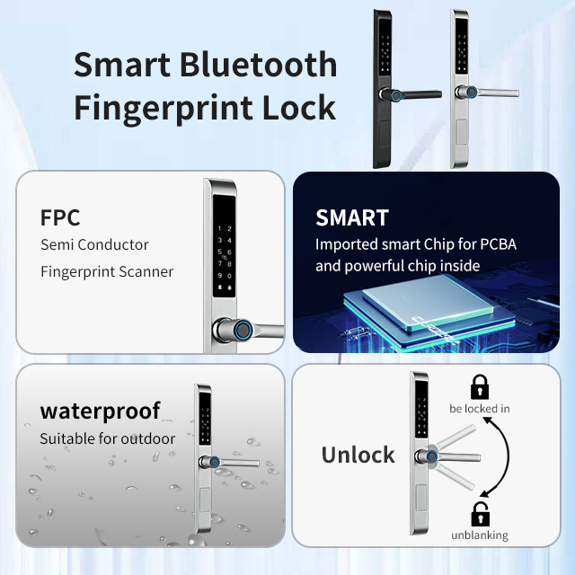 Hot Selling Waterproof Digital Biometric Handle Fingerprint Glass Door TTlock  APP Aluminum Sliding Smart door lock