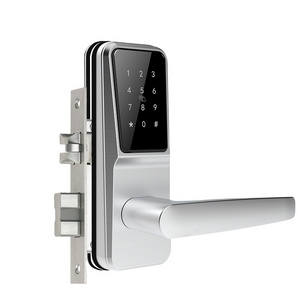 OEM Wifi Magnetic Security Code Front Password Smart Home APP Lock Keypad Digital Door Lock for Apartment