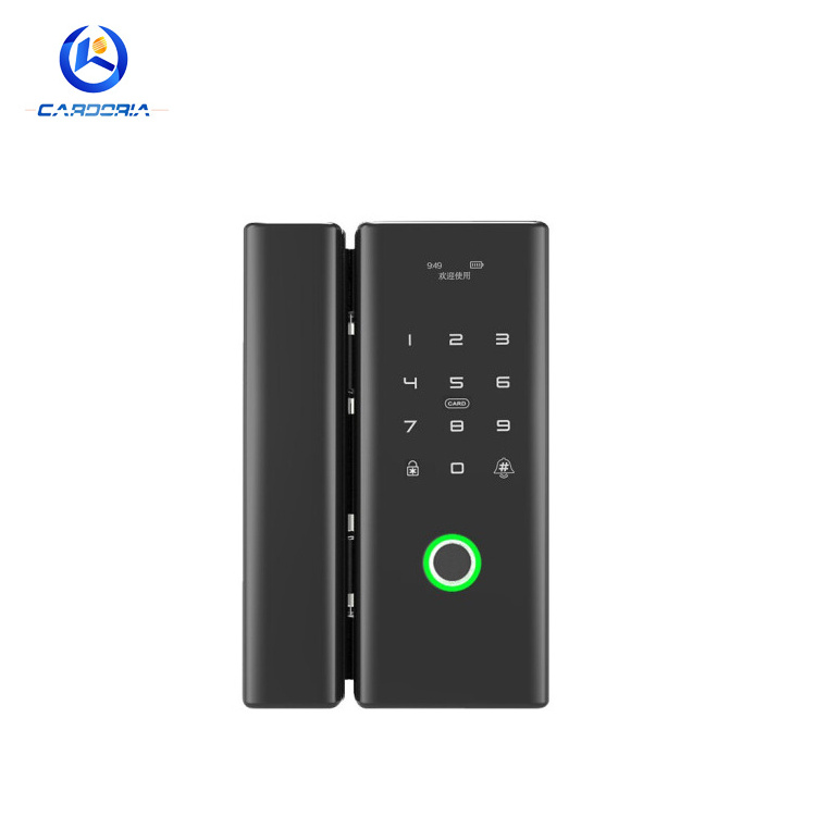 Tuya Smart Life WiFi Electronic Biometric Remote Automatic Fingerprint Lock for Double door/Sliding door