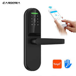 Wifi App Smart Door Lock Biometric Fingerprint Door Handle Digital Keyless TT Door Lock