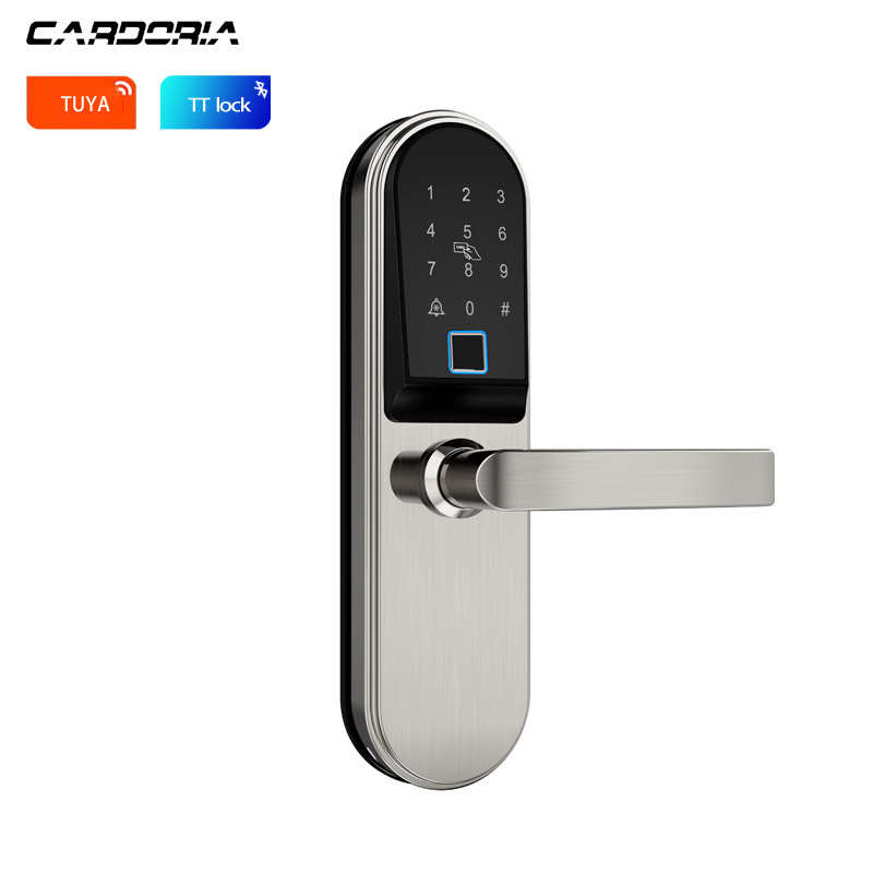 Digital Outdoor Locks Fingerprint Touch Screen Electronic Handle Home Cheap Locker Apartment Ttlock Tuya Smart Finger Door Lock