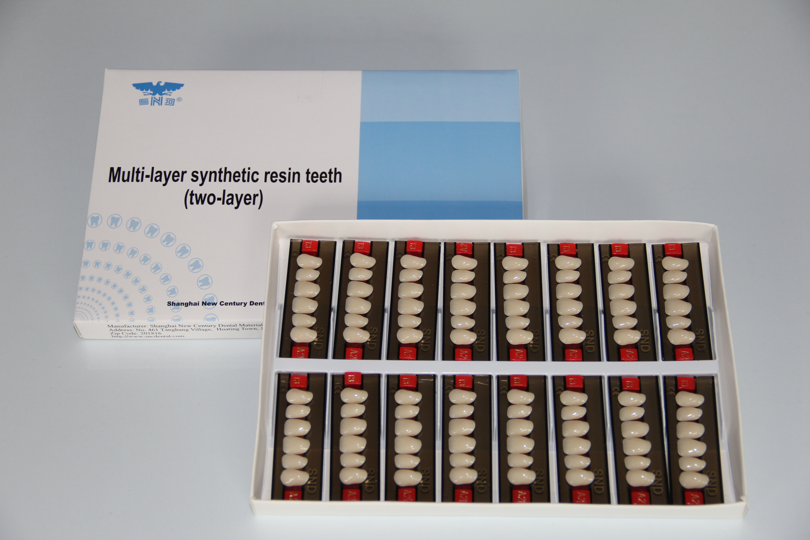 snd brand dental resin teeth  two layer acrylic teeth