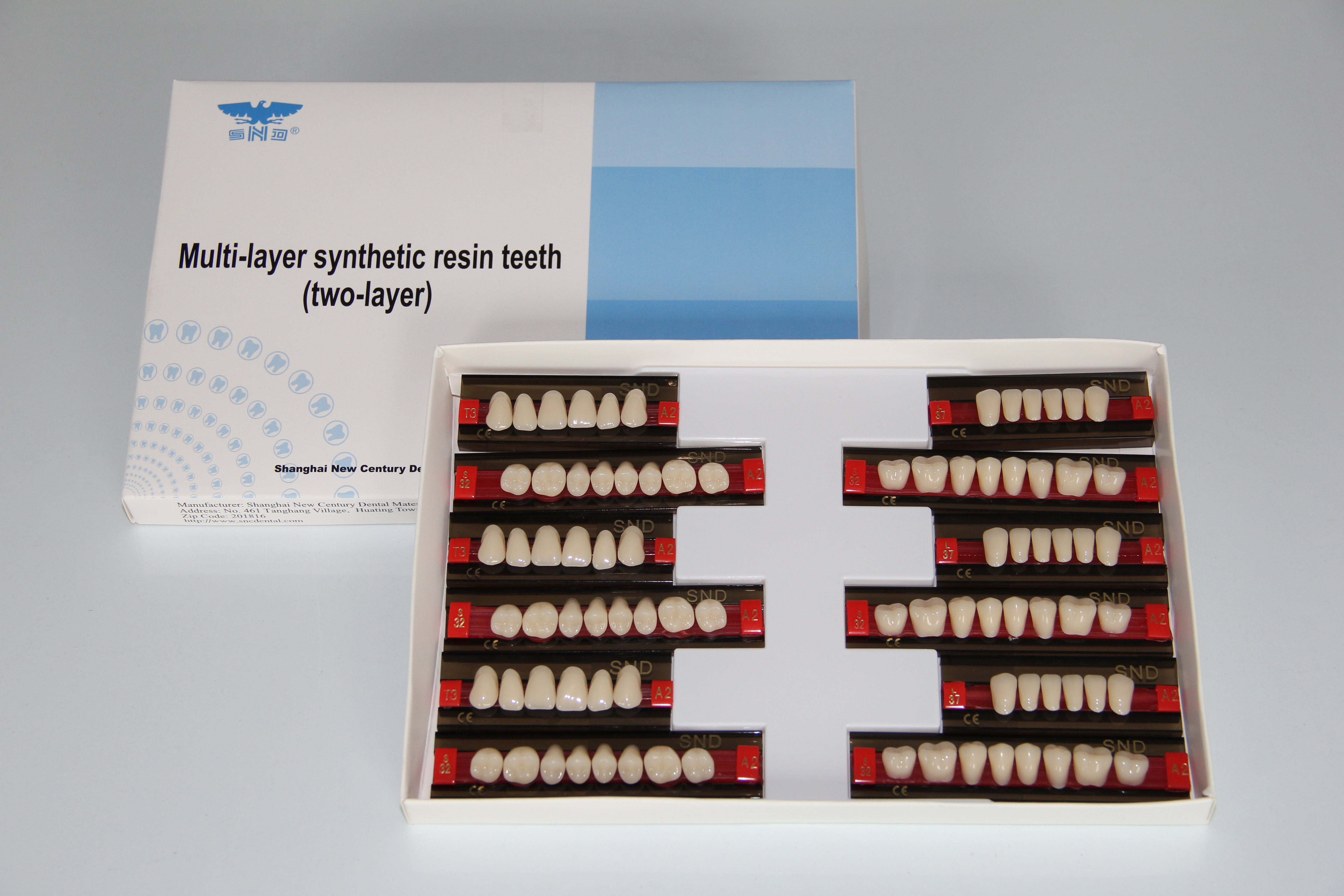 snd brand dental resin teeth  two layer acrylic teeth