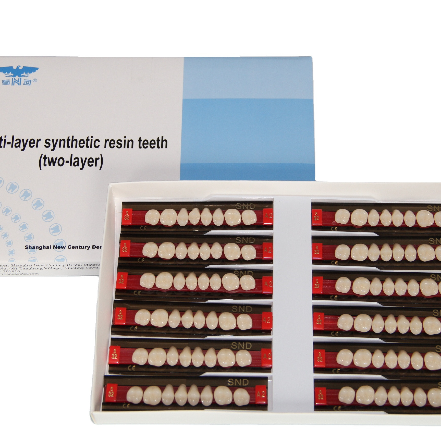 snd brand dental resin teeth  two layer acrylic teeth