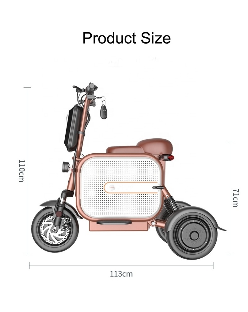 2023 New Product Electric Scooter Adult Lady with Baby Mini Pet Double Folding Small Scooter