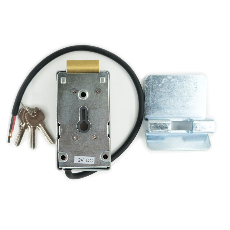 Electric GATE LOCK 12V 24V