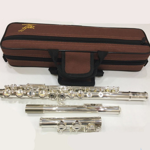 FL001S Professional Flute for children