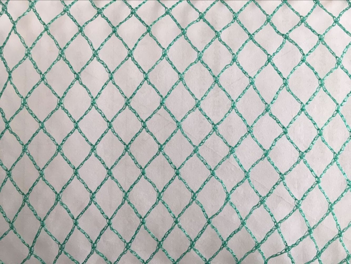 Hotsale HDPE green bird farm net with UV for catching birds 20gsm 30gsm 40gsm bird catching trapping net