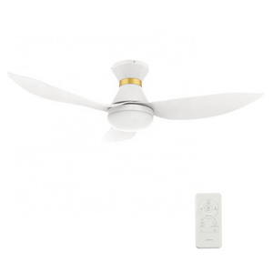 2023 Hot Sale Ceiling Fan Light And Remote Control With Led Light Ceiling Fan Light Kits