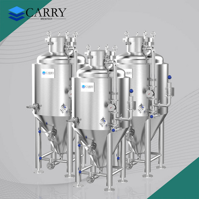 100L 200L 300L 400L Conical Beer Brewing Equipment Stainless Steel 304 Food Grade Fermentation Tank in Sales