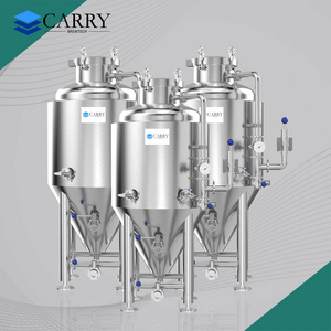 CARRY 100L 200L 300L 400L Stainless Steel 304 Food Grade Conical Beer Brewing Equipment  Fermentation Tank in Sales