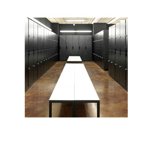 Hot Selling Small Lockers In The Workplace For Employee Break Room With Keys Business Lockers