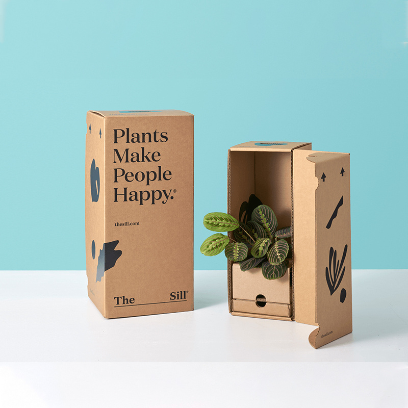 Eco big sale custom black printing Corrugated Cardboard plant Box factory brown kraft live plant Packaging box