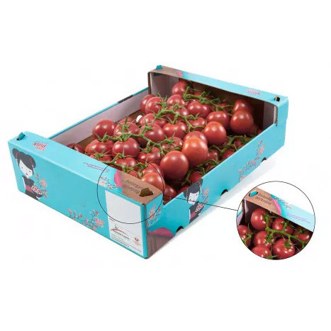 Wholesale Free Design Fruits Tomato Carton Banana Packing Boxes Corrugated Tomato Boxes Packaging Cardboard Shipping Box