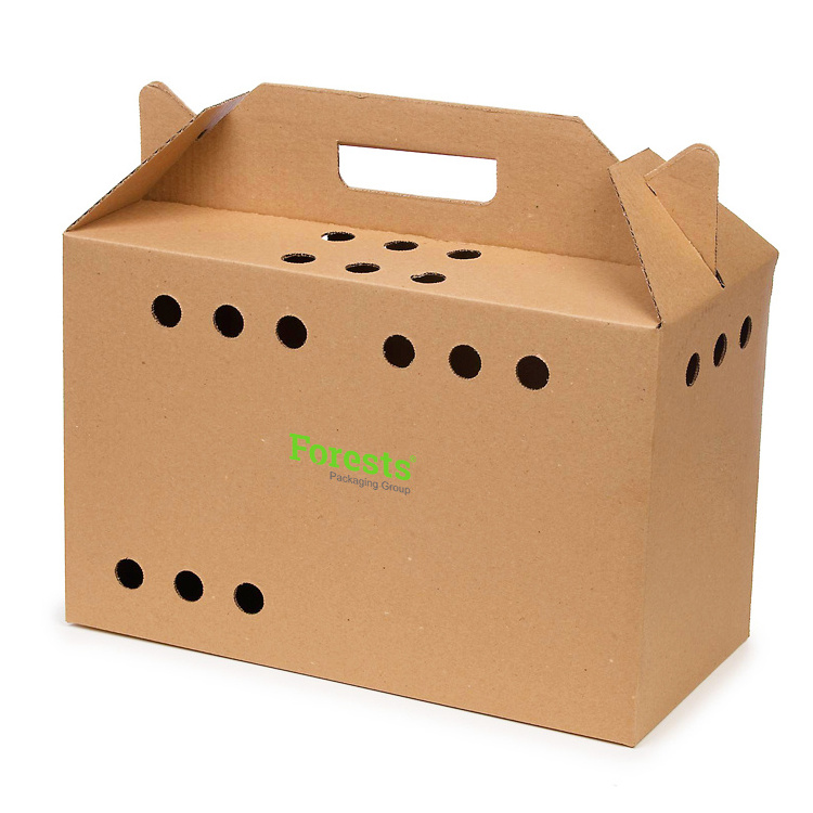 Animal Packaging Transport Boxes Small Pet Carrier Cat Cardboard Dog Shipping Pet Carrier Box