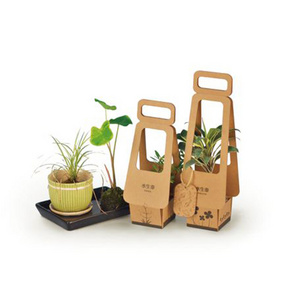 Eco big sale custom black printing Corrugated Cardboard plant Box factory brown kraft live plant Packaging box