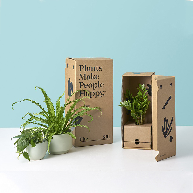 Eco big sale custom black printing Corrugated Cardboard plant Box factory brown kraft live plant Packaging box