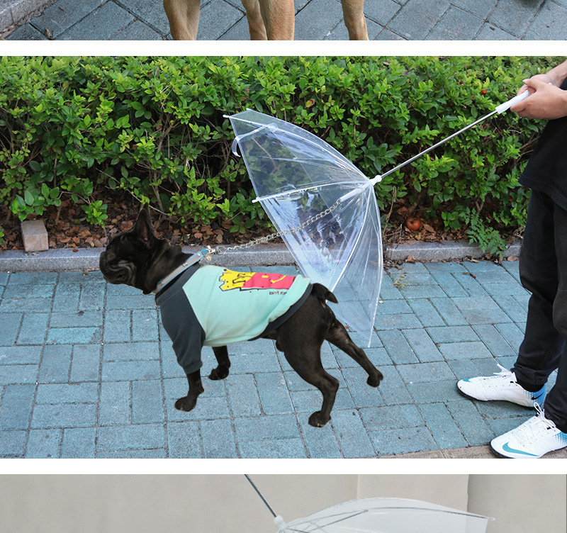 Explosions transparent pet umbrella walking the dog umbrella sun umbrella cats and dogs go out in rainy days portable