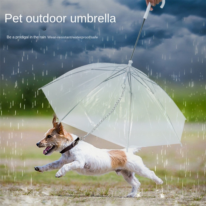 Explosions transparent pet umbrella walking the dog umbrella sun umbrella cats and dogs go out in rainy days portable