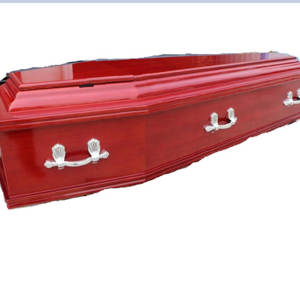 TD--E45 Wholesale new style cardboard coffin with glass high quality hot sale factory price