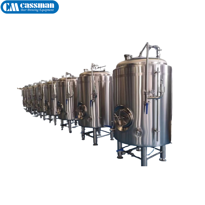 5 Ton / 5000L/h kieselguhr filter beer Candle filter DE filter use diatomaceous earth 200L Buffer tank and Beer flow meter