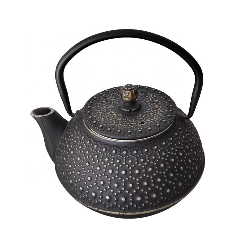 Chinese Black Enameled 600ml Cast Iron Teapot Cast Iron Teaware Hot Water Kettle