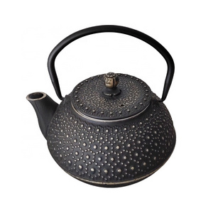 Chinese Black Enameled 600ml Cast Iron Teapot Cast Iron Teaware Hot Water Kettle