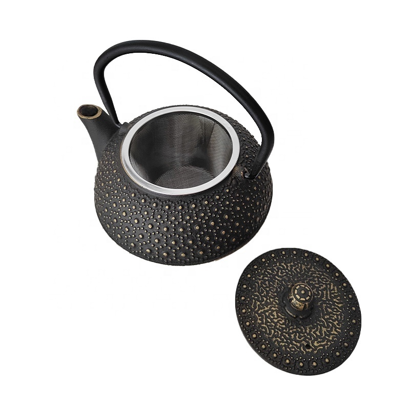 Chinese Black Enameled 600ml Cast Iron Teapot Cast Iron Teaware Hot Water Kettle