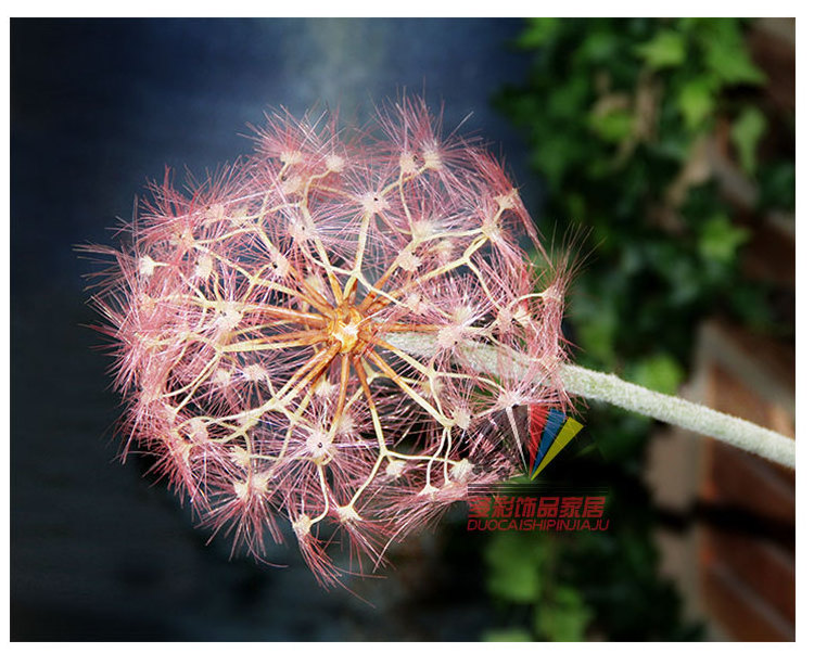 Y-H051 Hot Sale 20CM White Pink Cheap Dandelion Flowers Silk Artificial Dandelion Flower For Home Wedding Decoration