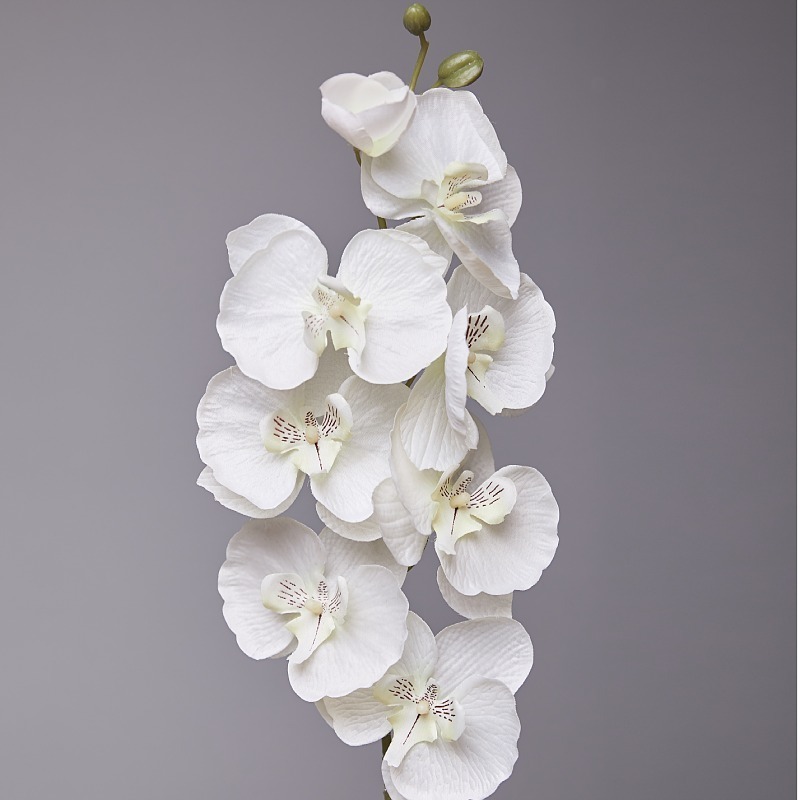 M551 White pink silk vision dendrobium phalaenopsis stem butterfly orchid plants artificial flowers for home wedding decor