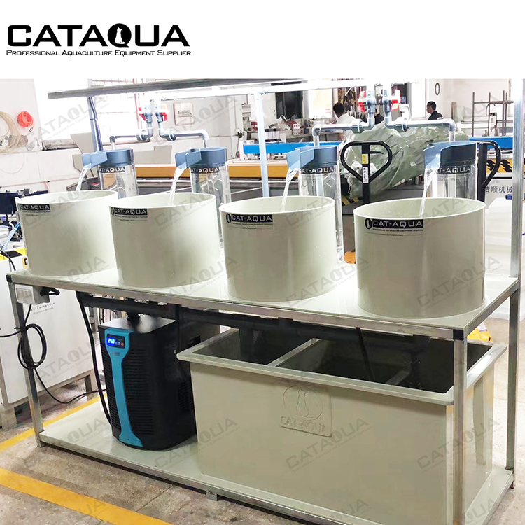 CATAQUA Fish Farm Automatic Mini Hatchery Equipment Machine Aquaculture Trout Fish Egg Incubator for Sale