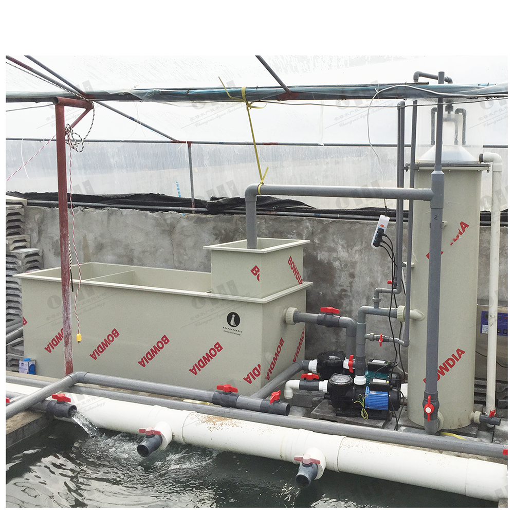 Zhangzhou Project Modern Sea Water Fish Farm Hippocampus Indoor Shrimp Farming Equipment