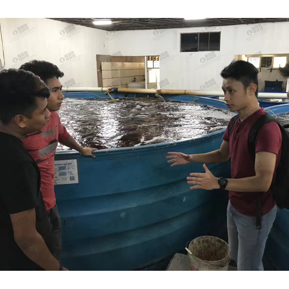 CATAQUA Malaysia Project Tilapia Ras Fish Farming Equipment Aquaculture System Aquaculture Equipment