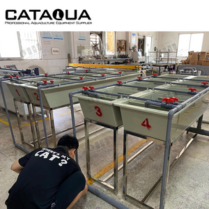 CATAQUA Large Incubation Capacity Automatic Brine Shrimp Eggs Catfish Incubator Machine Fully Automatic Hatchery Fish Farming