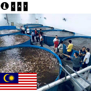 CATAQUA Malaysia Project Tilapia Ras Fish Farming Equipment Aquaculture System Aquaculture Equipment