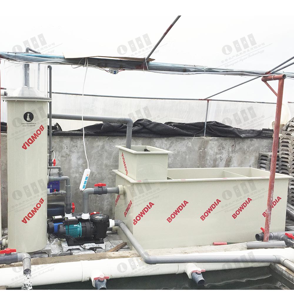 Zhangzhou Project Modern Sea Water Fish Farm Hippocampus Indoor Shrimp Farming Equipment