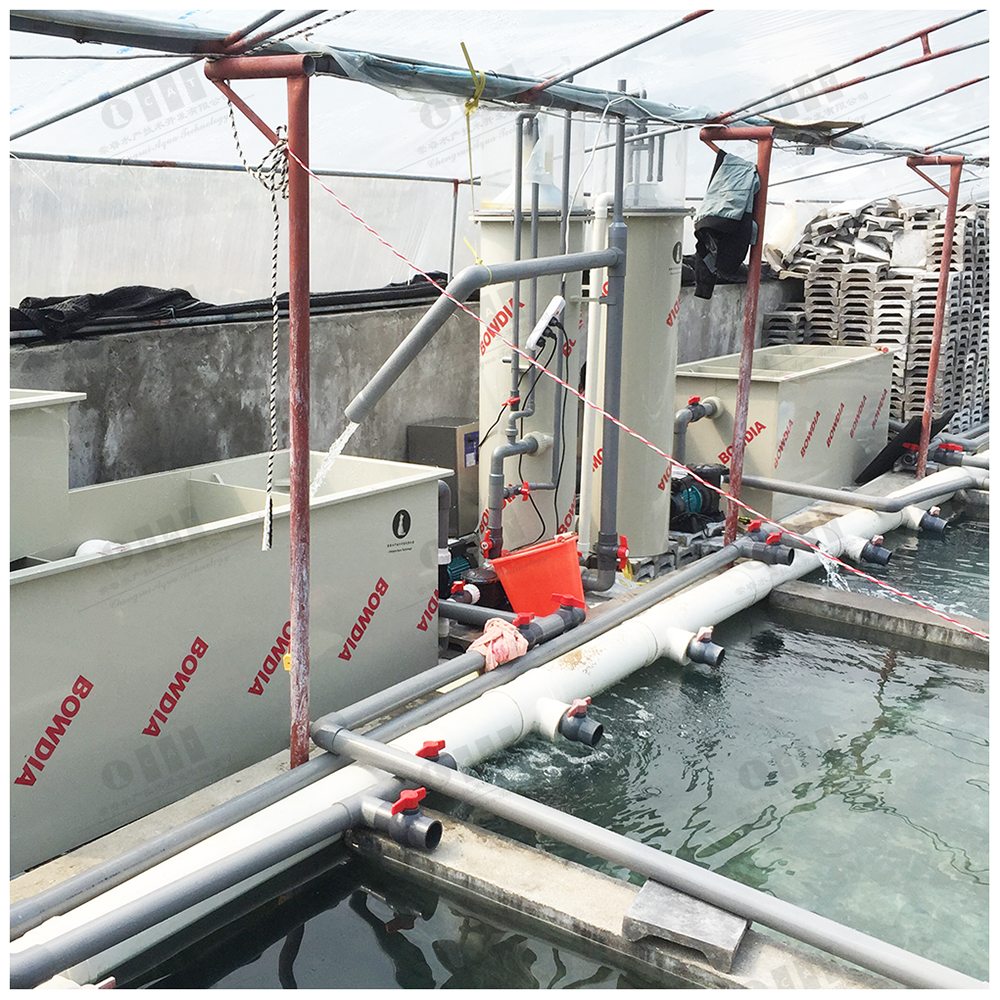 Zhangzhou Project Modern Sea Water Fish Farm Hippocampus Indoor Shrimp Farming Equipment