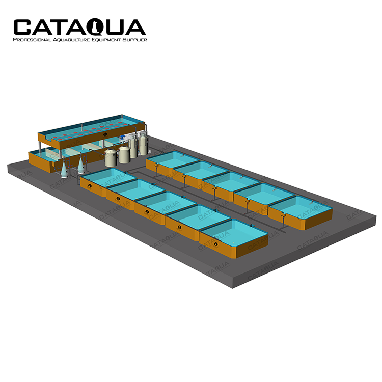 CATAQUA RAS System Aquaculture Farm Equipment Indoor Fish Shrimp Farming Equipment