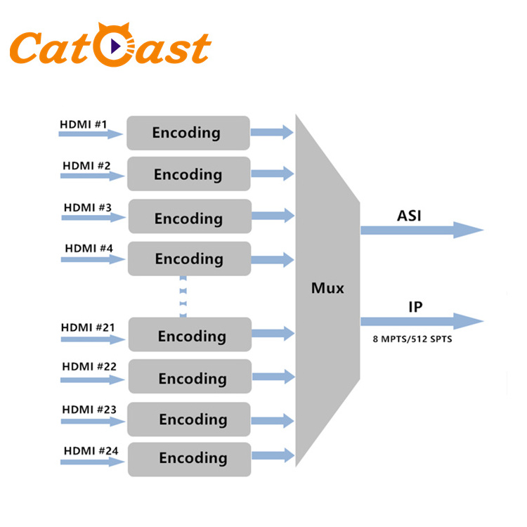 24 Channels HD MI to IP H.264 HD Encoder