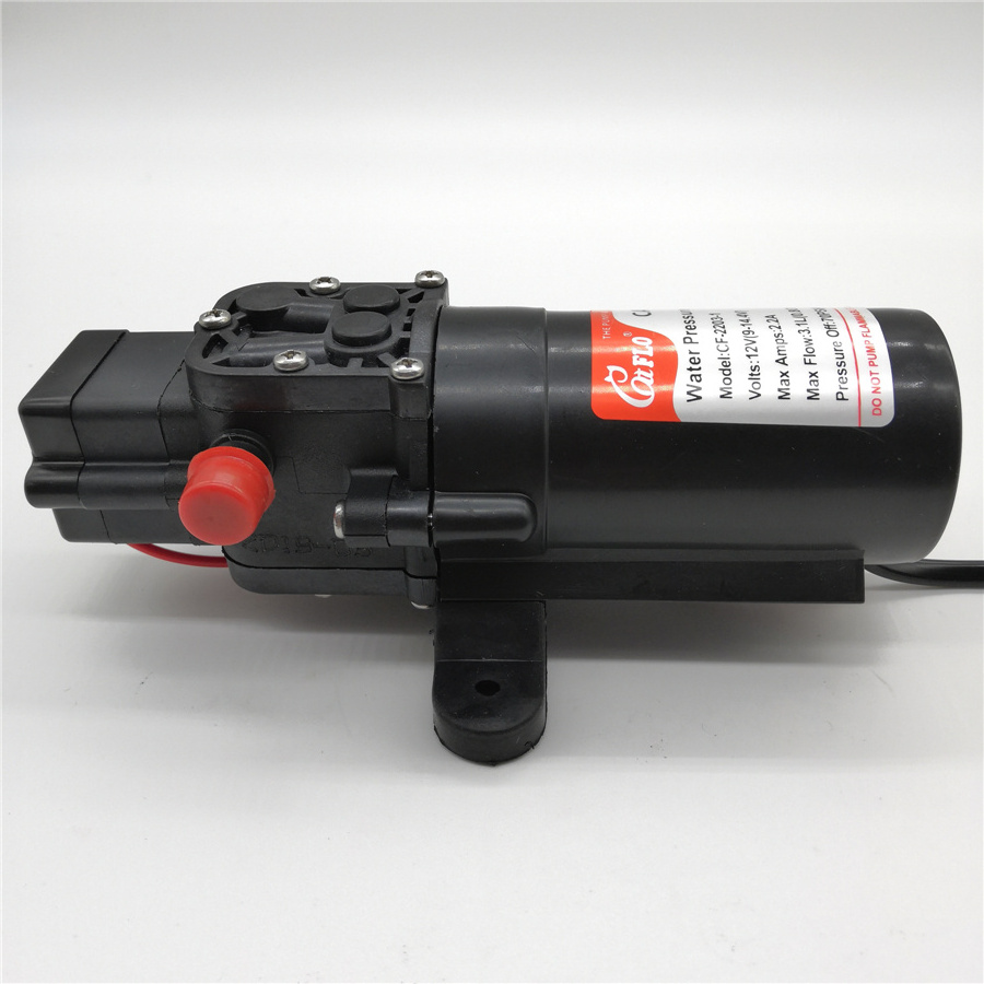 12 Volt  24 Volt Car Washer Sprayer agricultural irrigation DC Mini Power Water Pump