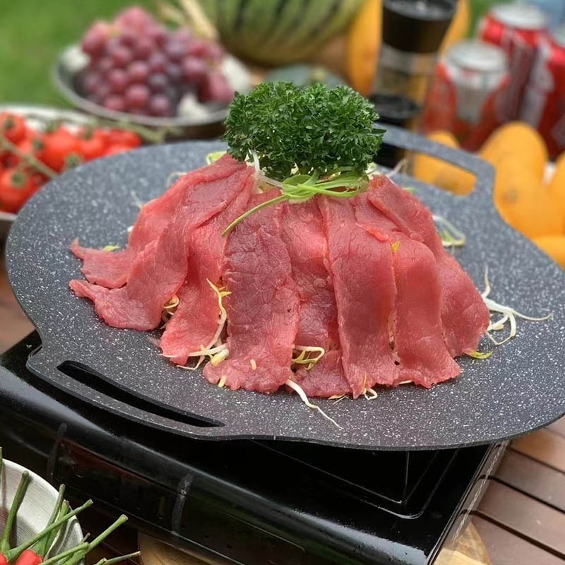 Outdoor frying pan Die-cast Non Stick Grill Pan Cast Camping cooking Bbq pan