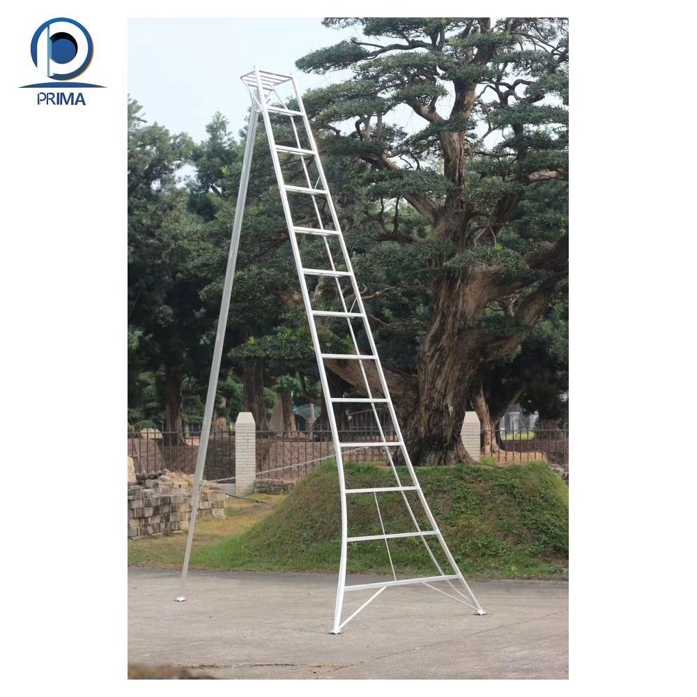 CBDMART Customized Aluminum Extension Ladder Aluminum Ladder Tree Stand Aluminum Ladder 6 Meter