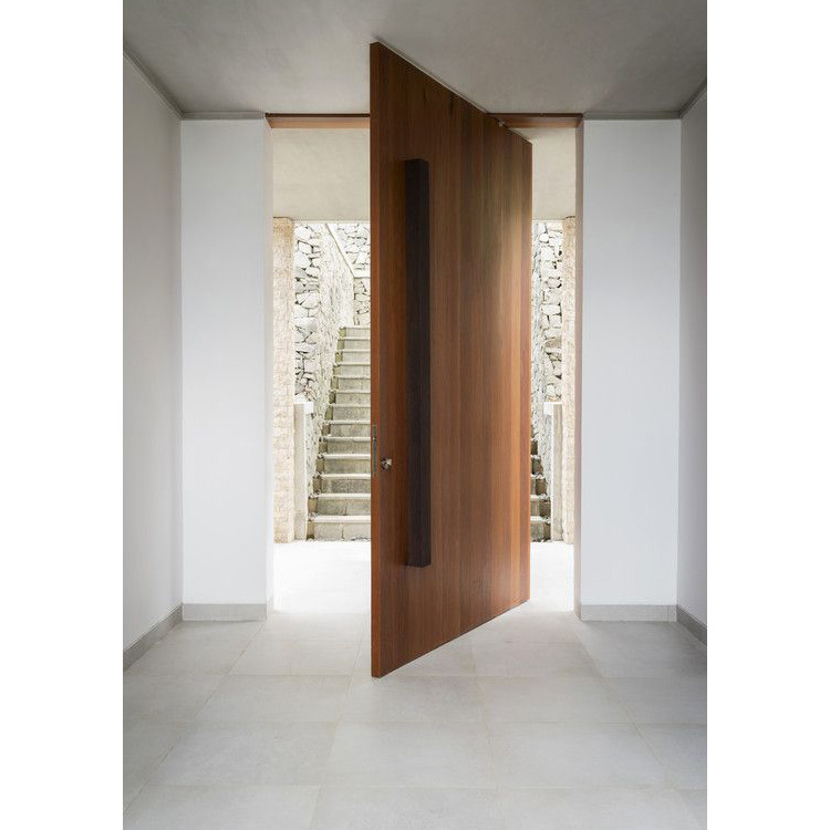 Exterior Front Doors For Houses Modern Glass Wood Entry Security Single Front Wooden Doors