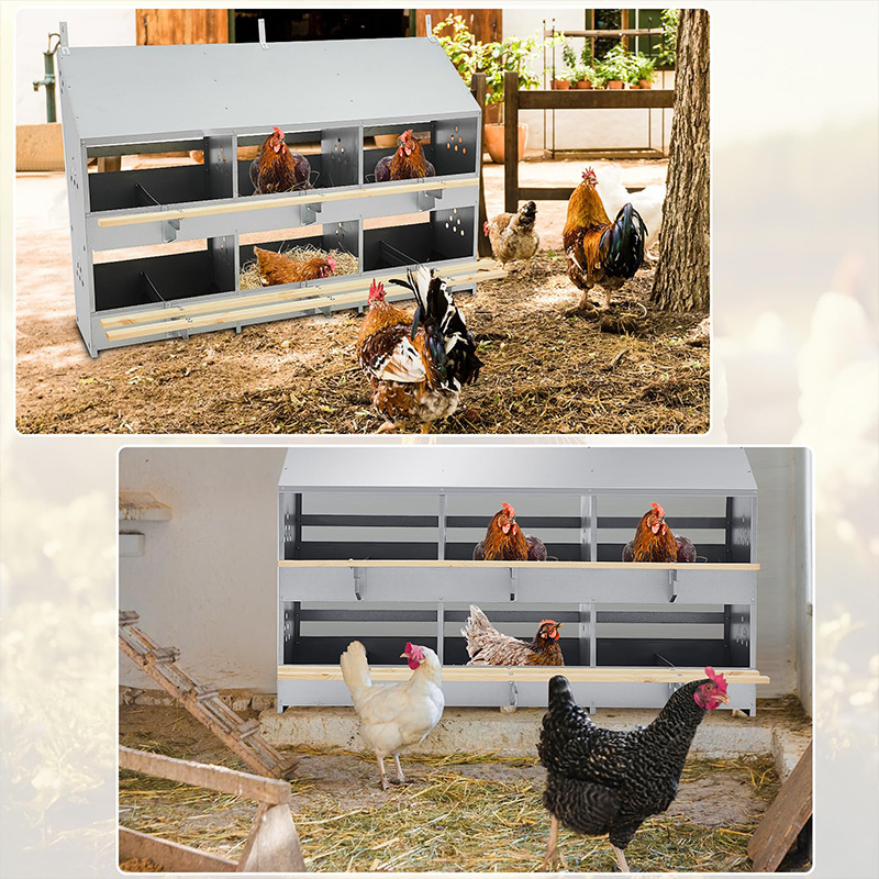 Top sale chicken nesting box roll out chicken nesting box metal egg laying chicken nesting boxes roll away eggs