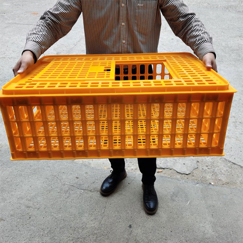 CHANGTIAN industrial chicken transport cage pigeon transport cage quail transport cages for farm