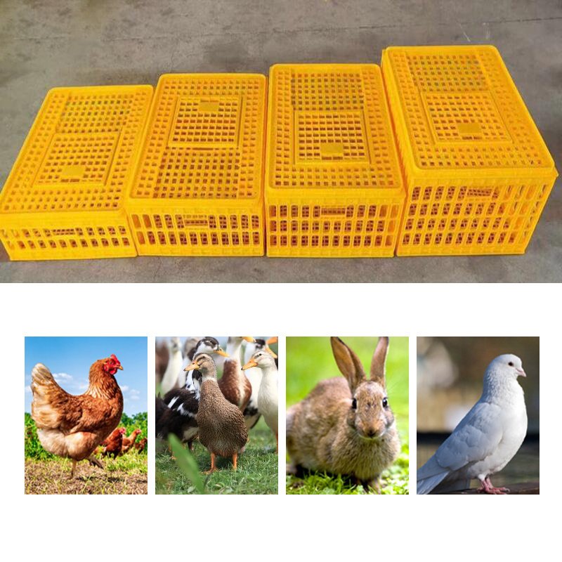 CHANGTIAN industrial chicken transport cage pigeon transport cage quail transport cages for farm