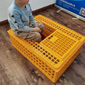 CHANGTIAN industrial chicken box for transportation chicken crates transport boxes plastic portable chicken transport cage