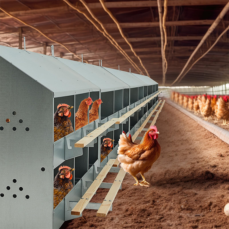 Top sale chicken nesting box roll out chicken nesting box metal egg laying chicken nesting boxes roll away eggs