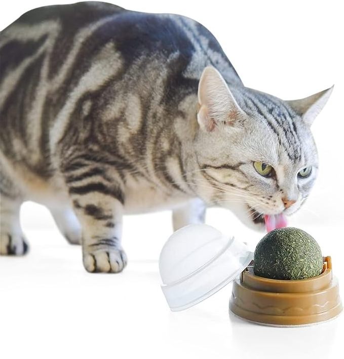 Healthy Cats Rotatable Catnip Ball Catnip Wall Lick Treat Toys For Cats Cat Mint Ball Snacks Molar Teeth Rotate Wood Pet Toys